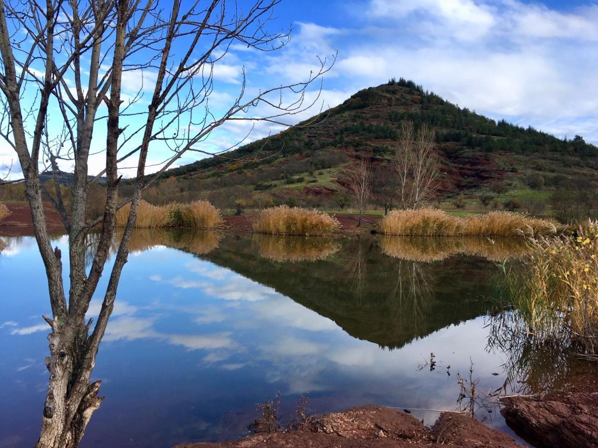 Proche Lac Du Salagou, Chambre Agreable Avec Salle D'Eau Et Wc Prive Lacoste  Dış mekan fotoğraf